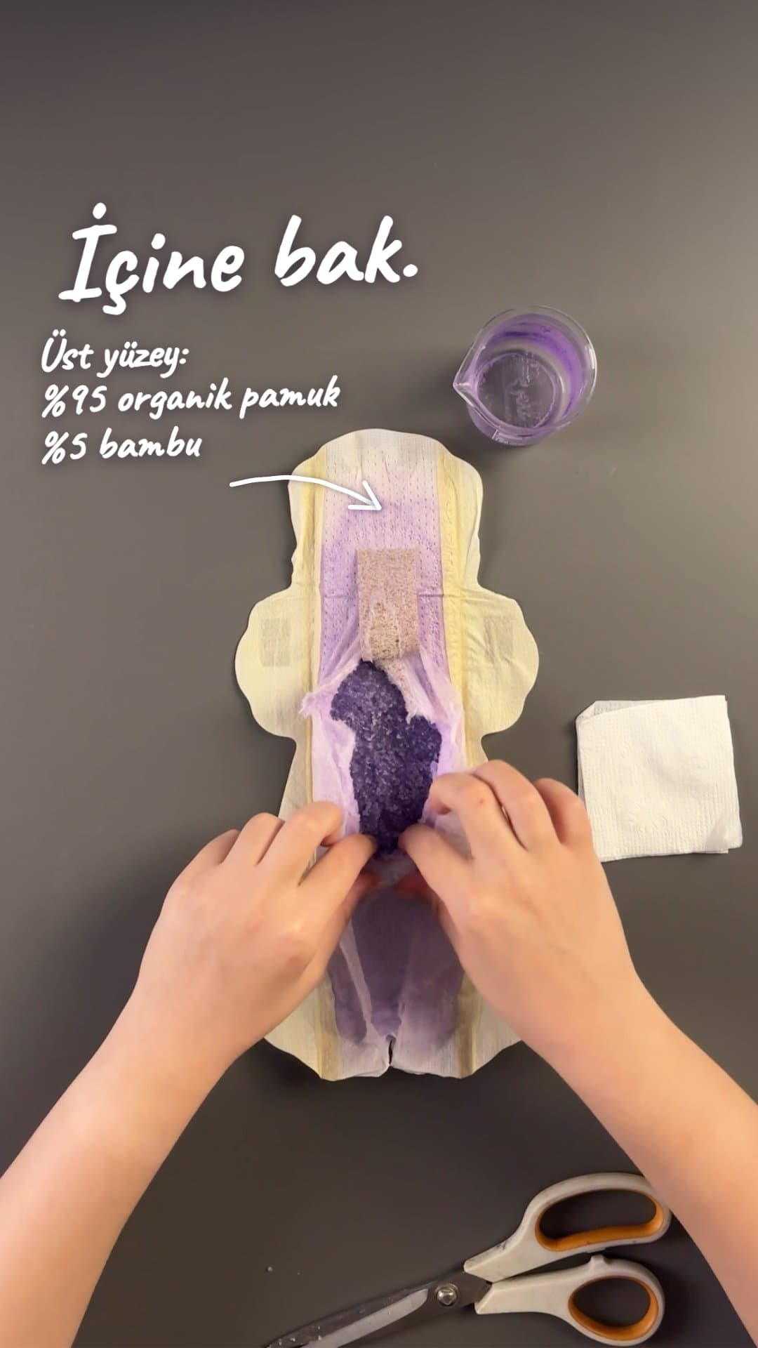 Ped deneyi videosu