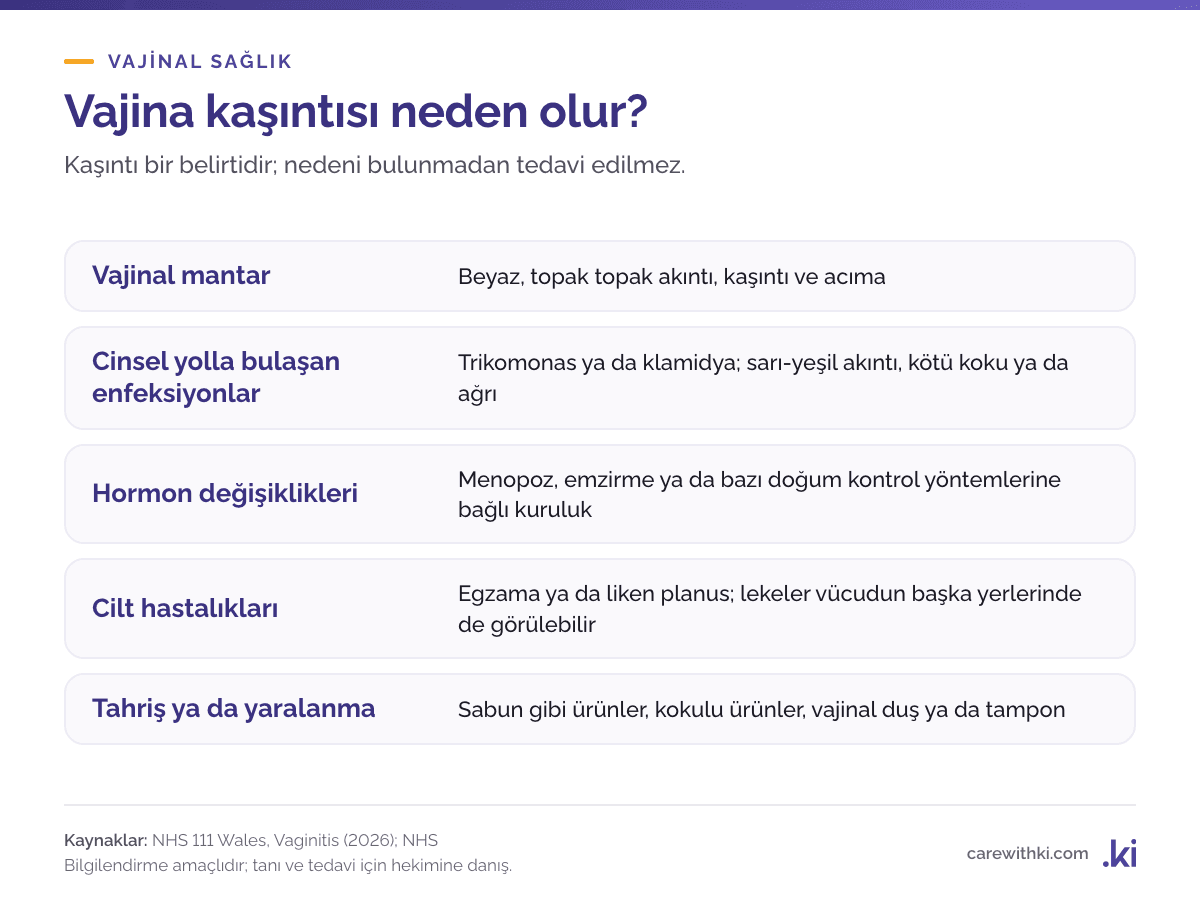 Vajina kaşıntısının olası nedenleri: vajinal mantar, cinsel yolla bulaşan enfeksiyonlar, menopoz ve emzirme gibi hormon değişiklikleri, egzama gibi cilt hastalıkları, sabun gibi ürünlerin ya da tamponun tahrişi