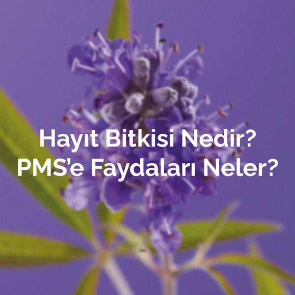 Hayıt Bitkisi Nedir? PMS'e Faydaları Neler?