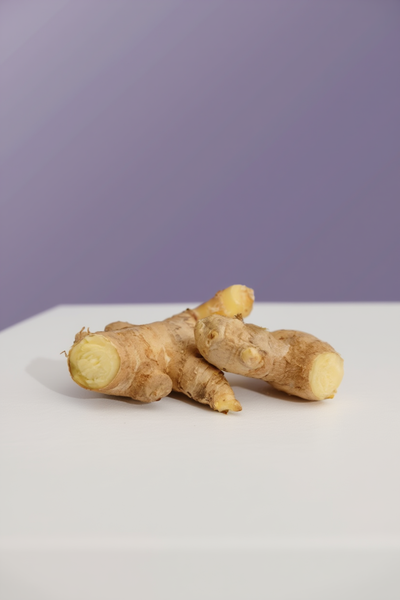 Zencefil (Zingiber officinale)