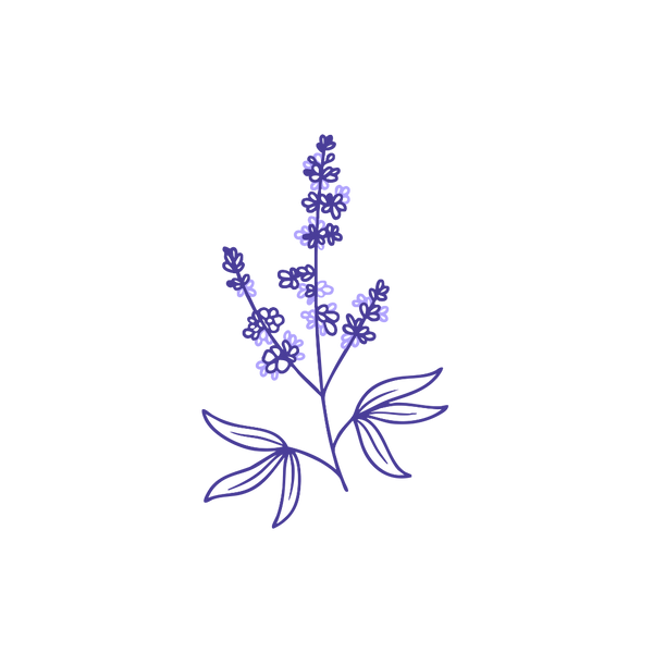 Hayıt (Vitex Agnus Castus)